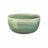 ASA Salatschale Ø22cm Saisons Agave -Alessi-Shop Salatschale O22cm Saisons agave 1 600x600 ID335308 b2c49f203ef53ed53a668c2dc9d0d476